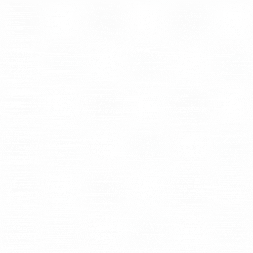 Safensafe Management History